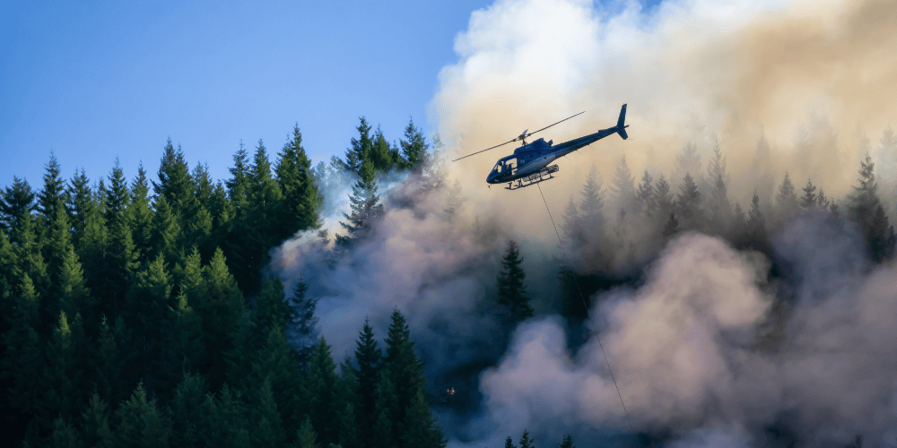Équipe de lutte contre les feux de forêt au travail, près de Port Alice sur l’île de Vancouver.
